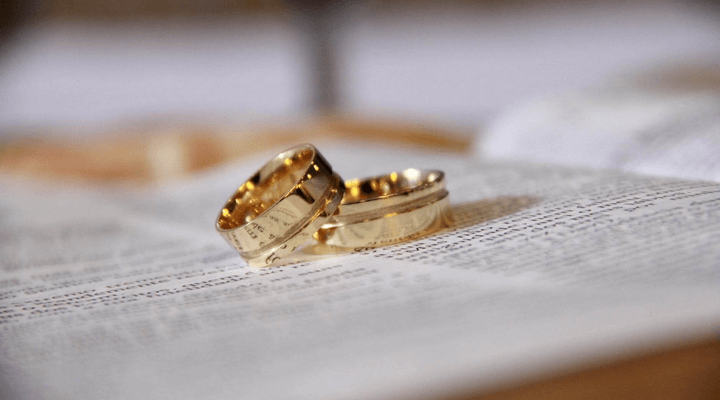 pexels photo 265730.png