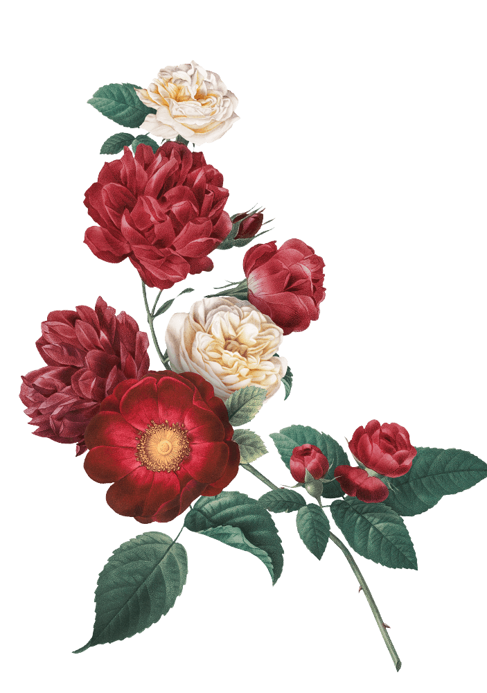 midnight 01 couple depan 1.png