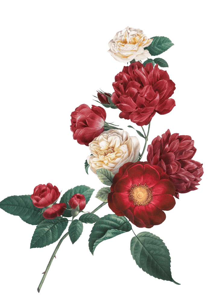 midnight 01 couple depan 2.png